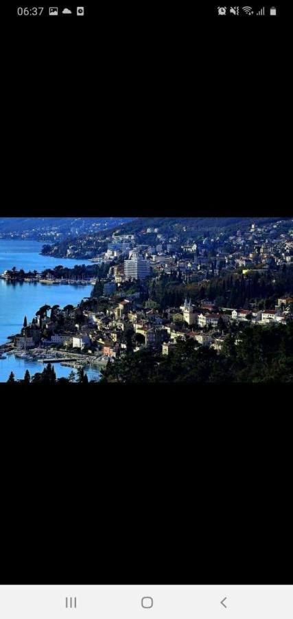 Apartment Valbona 1 Opatija